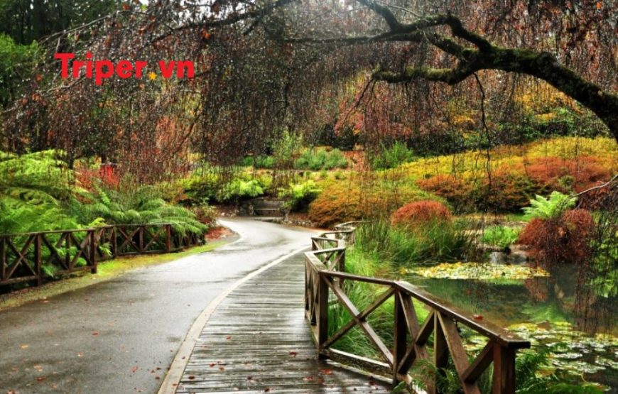 Úc: Sydney – Canberra – Melbourne – Dandenong – Yarra Valley