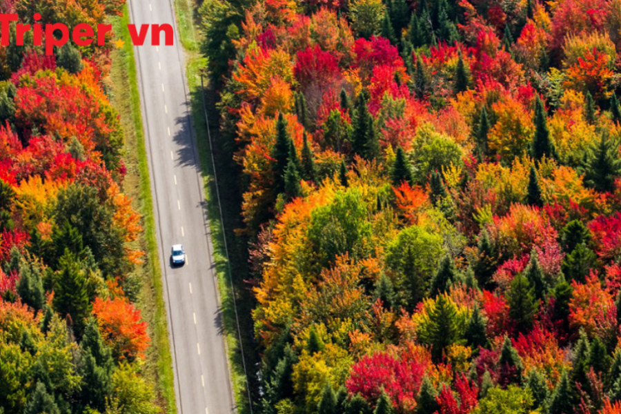 Vancouver - Victoria - Montreal - Quebec - Ottawa - Toronto (Tặng bữa trưa ngắm thác Niagara tại Sheraton Fallsview)