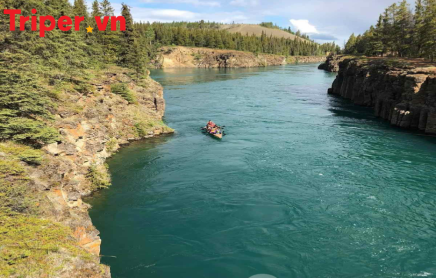 Vancouver – Whitehorse – Yukon – Vancouver | Hành trình săn Bắc Cực Quang
