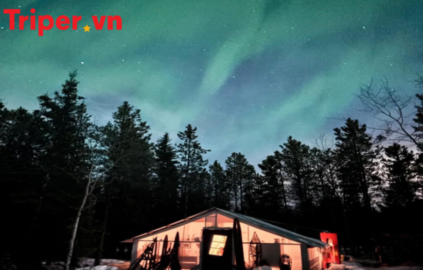 Vancouver – Whitehorse – Yukon – Vancouver | Hành trình săn Bắc Cực Quang