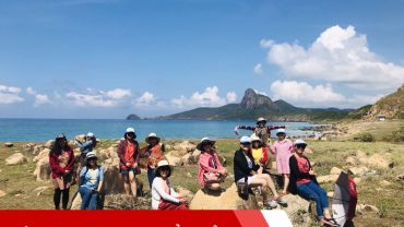công ty du lịch Biển Đảo