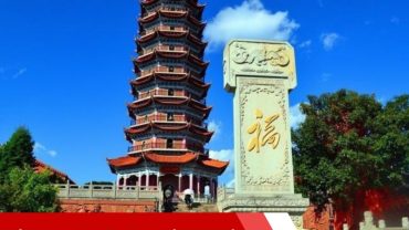 công ty du lịch hoàng trà