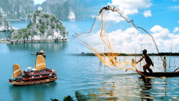 Top 3 công ty du lịch phường Chánh Hưng, TP.HCM