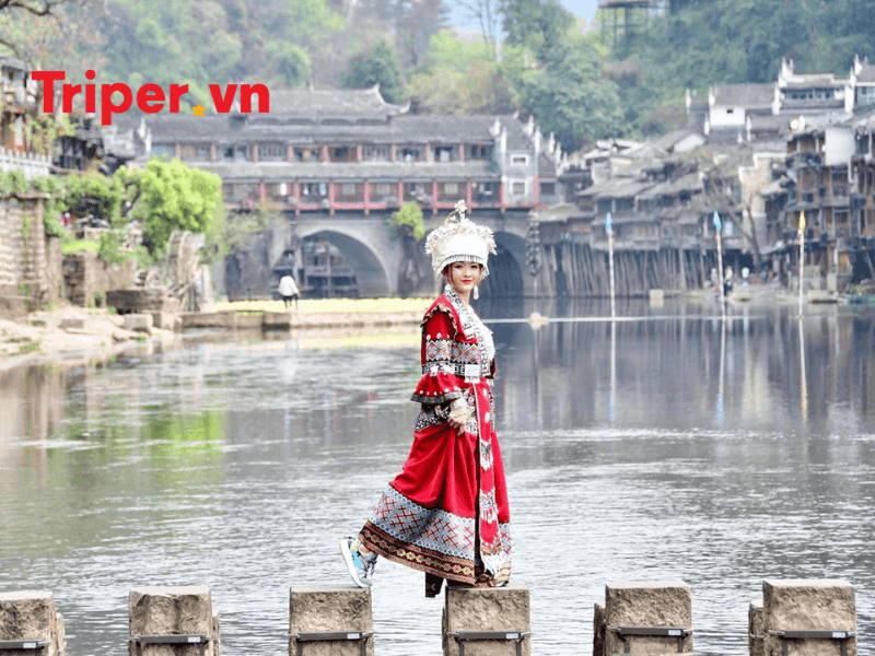 So sánh và gợi ý lựa chọn