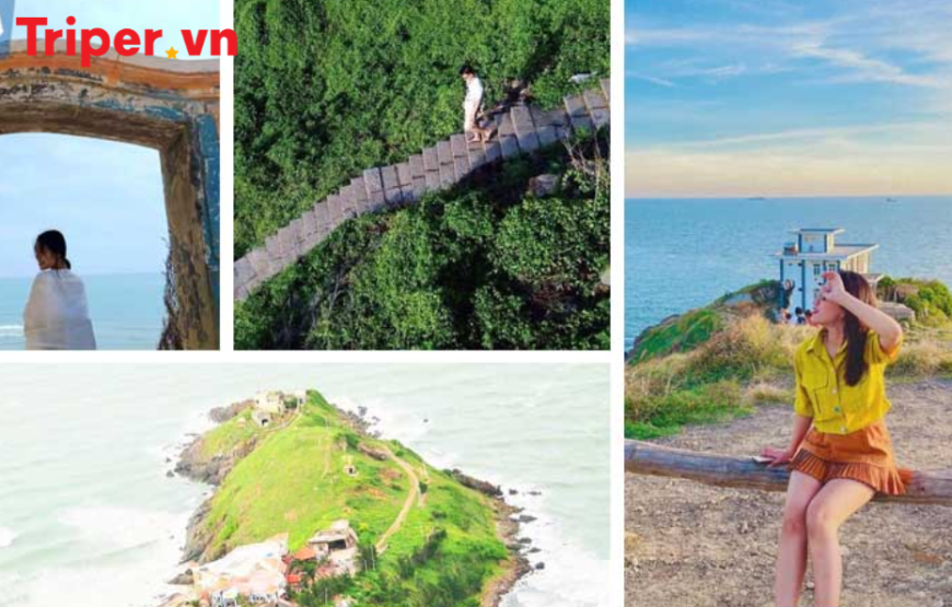 Tour du lịch 1 ngày 1 đêm từ tphcm đi vũng tàu