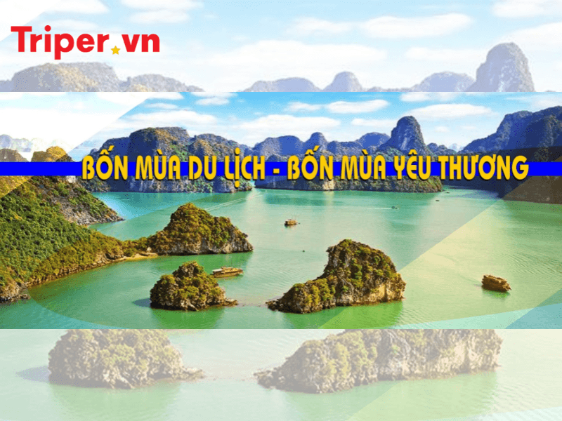 Giới thiệu về công ty du lịch Bốn Mùa