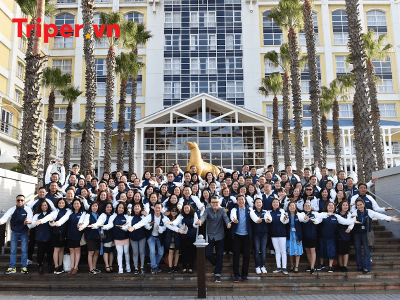 Giới Thiệu Về Công Ty Du Lịch Vietrantour