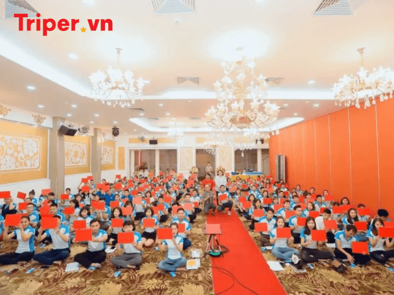 Giới thiệu về công ty du lịch S-Travel