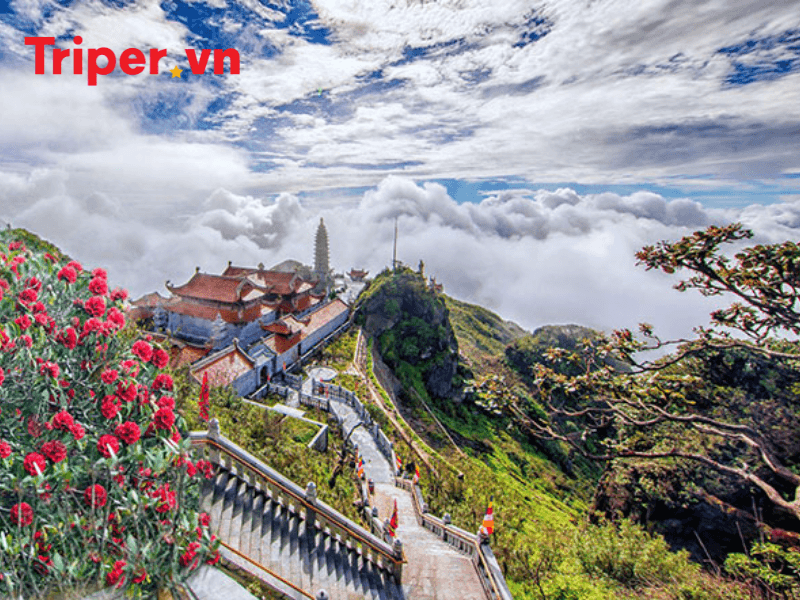 Ưu điểm của công ty du lịch Trống Đồng