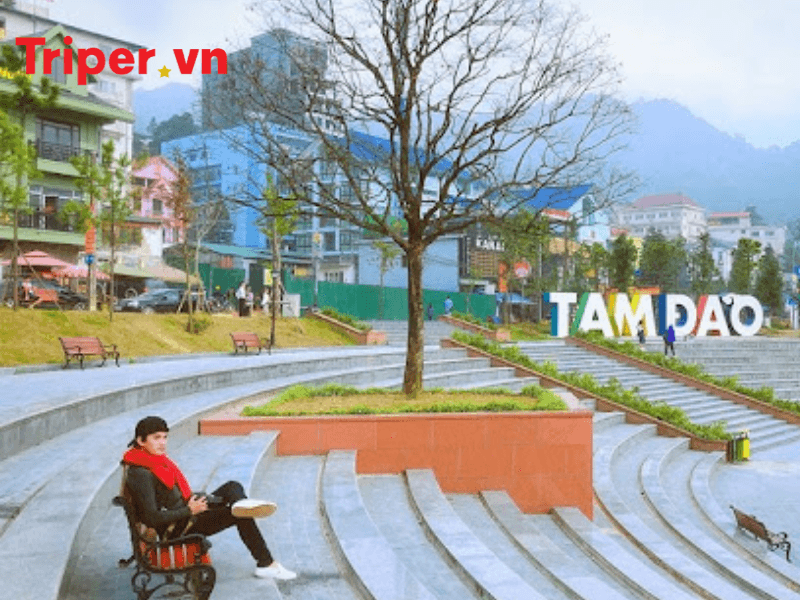 Các đánh giá của công ty du lịch Bốn Mùa