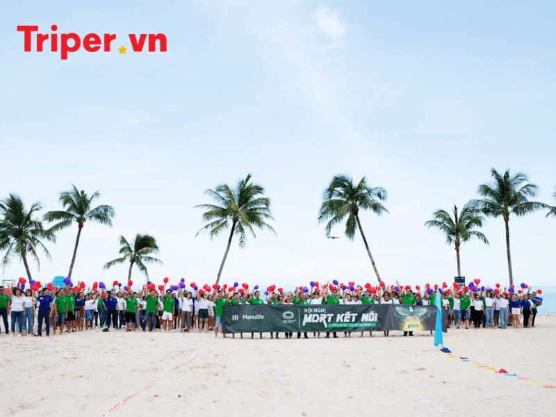 Ưu Điểm Của Công Ty Du Lịch Vietrantour