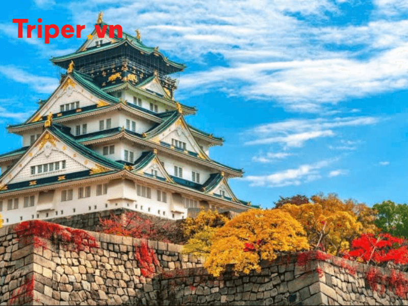 Thông tin các tour nổi bật tại công ty du lịch Cửu Long