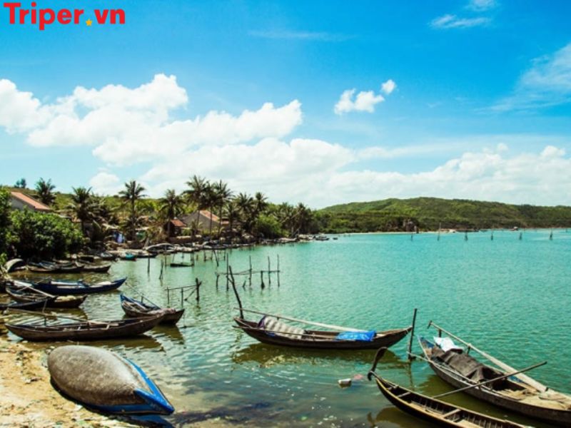 Các Tour Nổi Bật Tại Công Ty Du Lịch Apt Travel