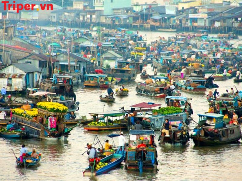 Các tour nổi bật tại Công ty du lịch Côn Đảo