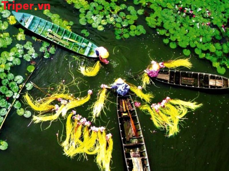 Các tour nổi bật tại Công ty du lịch cộng đồng