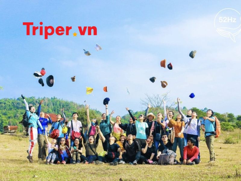 Giới thiệu về công ty cổ phần thương mại và dịch vụ du lịch 52hz