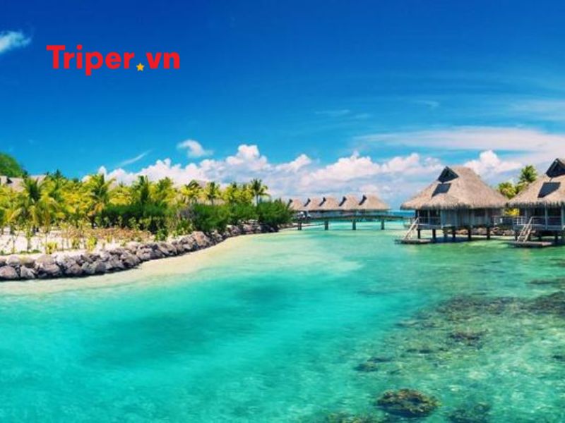 Tour Du Lịch Nổi Bậc