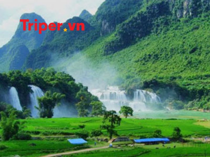 CÔNG TY TNHH THƯƠNG MẠI VÀ DU LỊCH CAO NIÊN Công Ty Tnhh Thương Mại Và Du Lịch Cao Niên