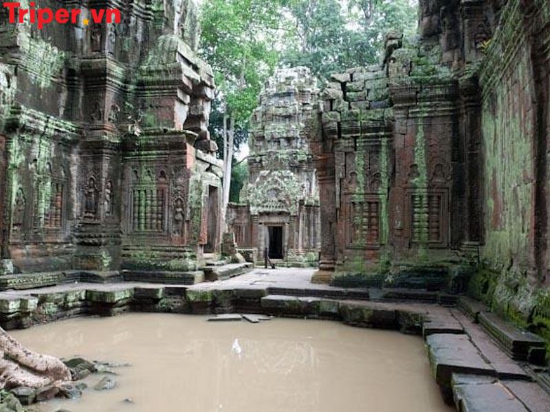 Giới thiệu về Công ty du lịch Exotissimo