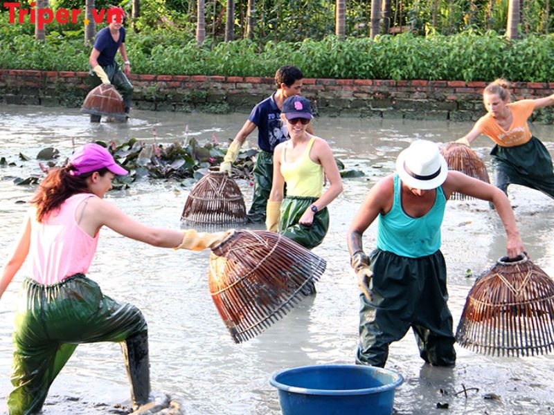 Giới thiệu về Công ty du lịch cộng đồng