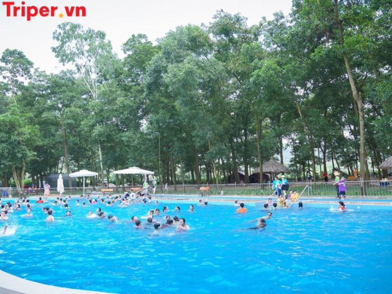 Giới thiệu về công ty du lịch Hàm Rồng