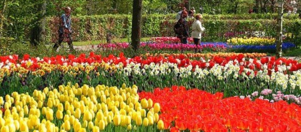 Giới thiệu về công ty du lịch Hoa Hạ