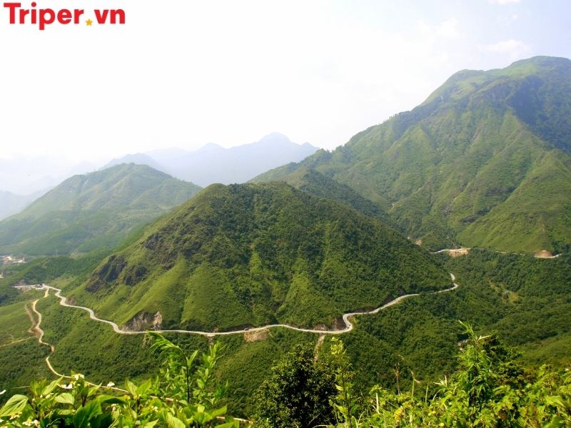 Giới thiệu về công ty du lịch Hoàng Liên Sơn