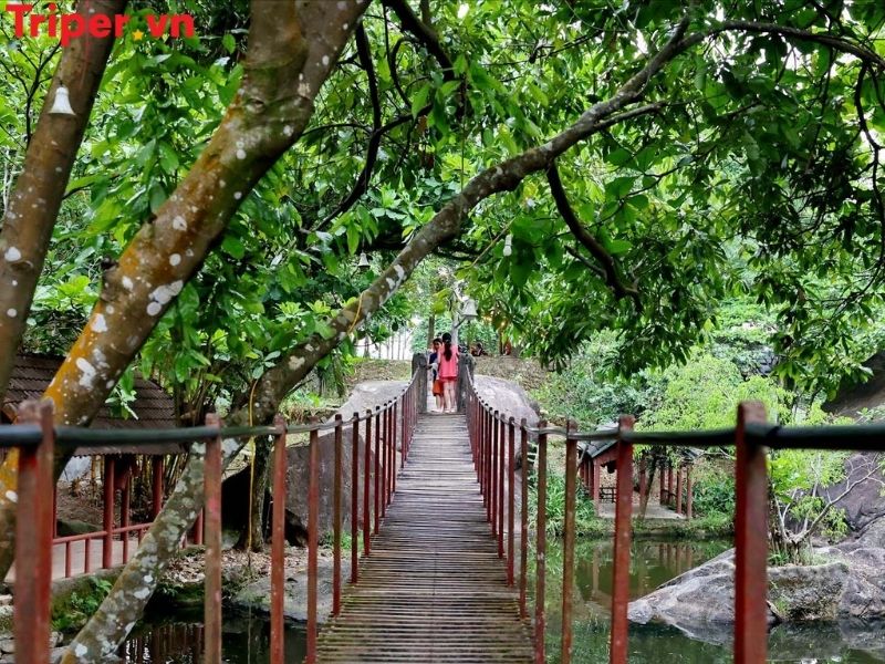 Giới thiệu về công ty du lịch Hoàng Minh