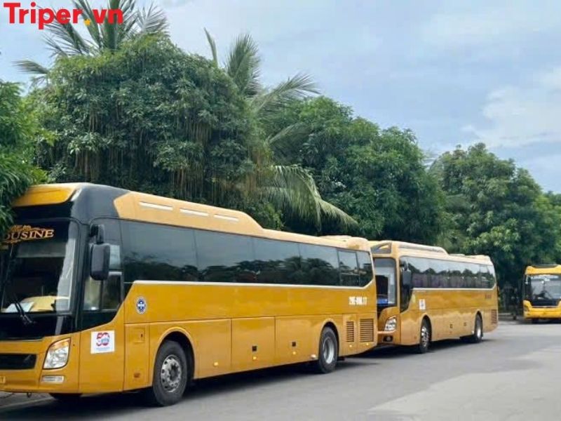 Giới thiệu về công ty du lịch Nụ Cười Mới