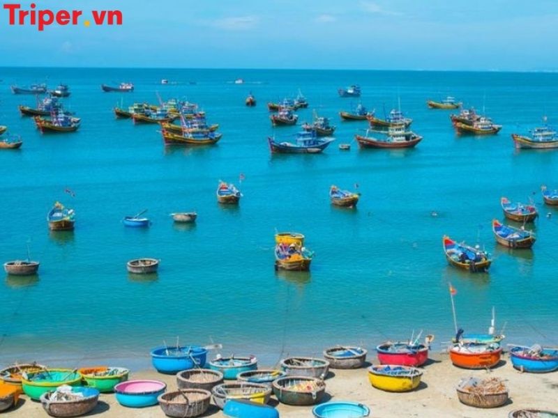 Giới thiệu về công ty du lịch Phương Anh