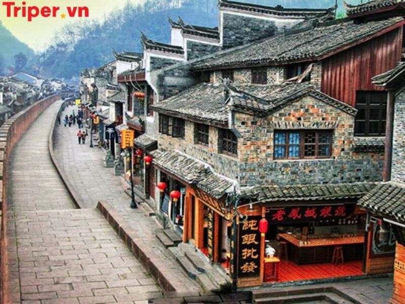 Giới thiệu về công ty du lịch Phượng Hoàng