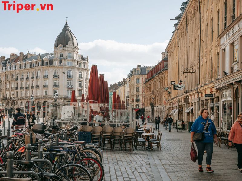 Giới Thiệu Về Công Ty Expedia