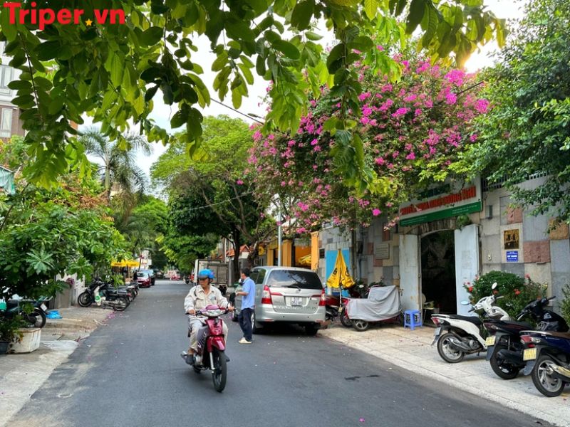 Lời khuyên khi chọn công ty du lịch tại phường Tân Hòa