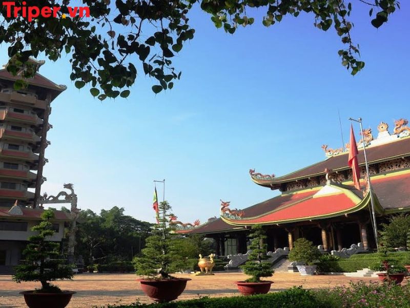 Lời khuyên khi chọn công ty du lịch tại xã An Nhơn Tây