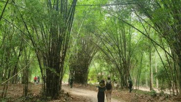 Lời khuyên khi chọn công ty du lịch tại xã Thái Mỹ