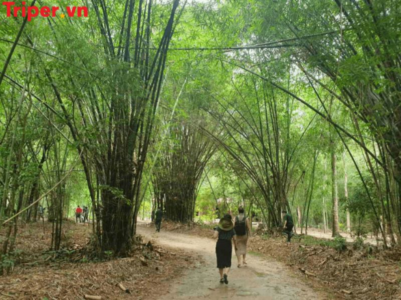 Lời khuyên khi chọn công ty du lịch tại xã Thái Mỹ