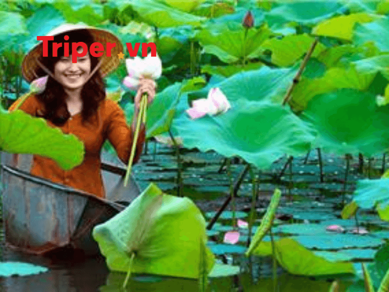 Top các công ty du lịch phường Đức Nhuận, TP.HCM đáng tin cậy