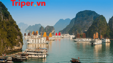công ty du lịch phường Đức Nhuận