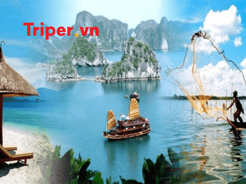 Danh sách top công ty du lịch tại phường Tân Sơn Nhì, Quận Tân Phú