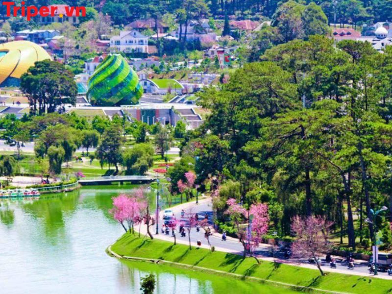 Thông tin các tour nổi bật tại công ty du lịch Gotadi