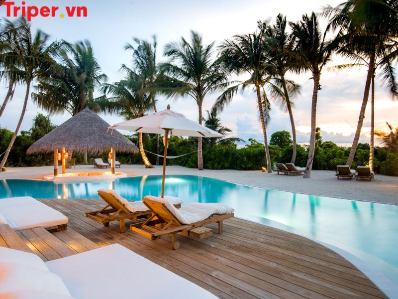Thông tin các tour nổi bật tại công ty du lịch Green Travel