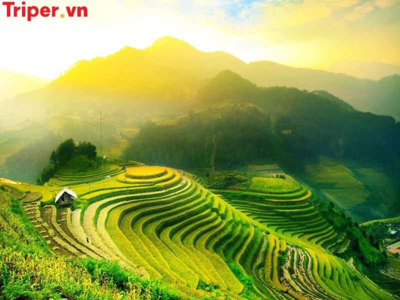 Thông tin các tour nổi bật tại công ty du lịch Group Tours