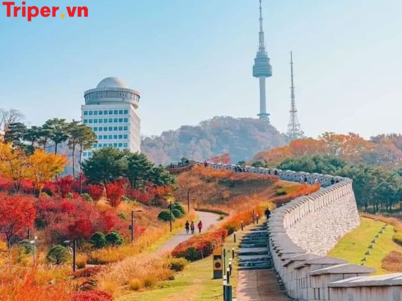 Thông tin các tour nổi bật tại công ty du lịch Hải Vân Cát