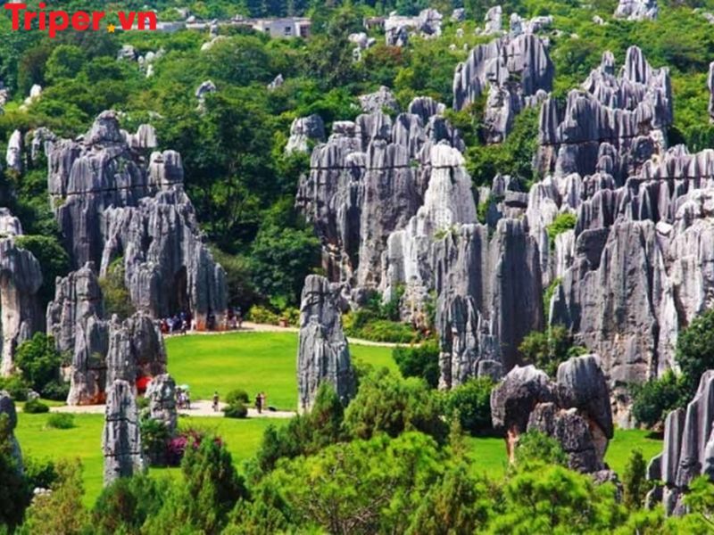 Thông tin các tour nổi bật tại công ty du lịch Hàm Long