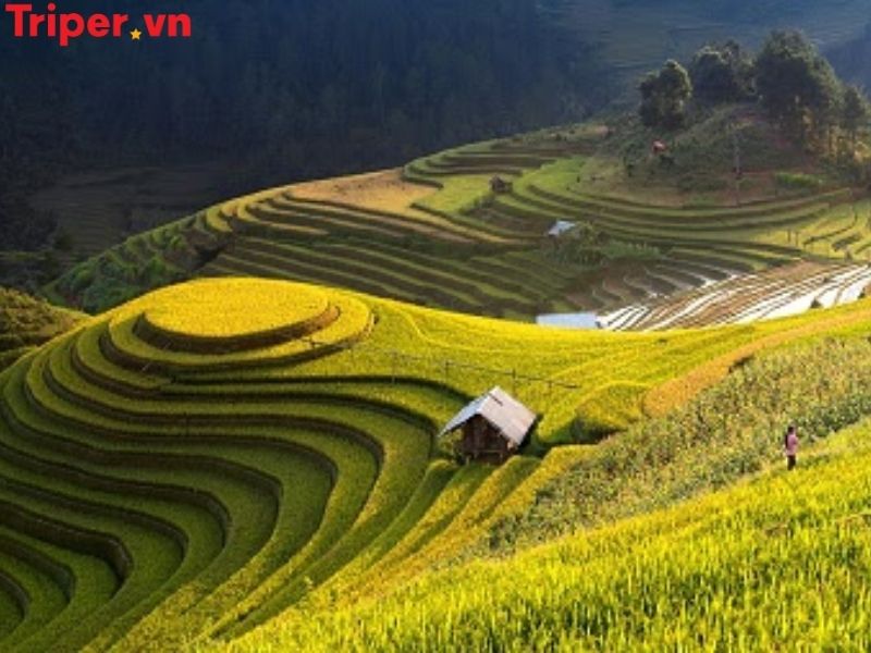 Thông tin các tour nổi bật tại công ty du lịch Hoàng Long