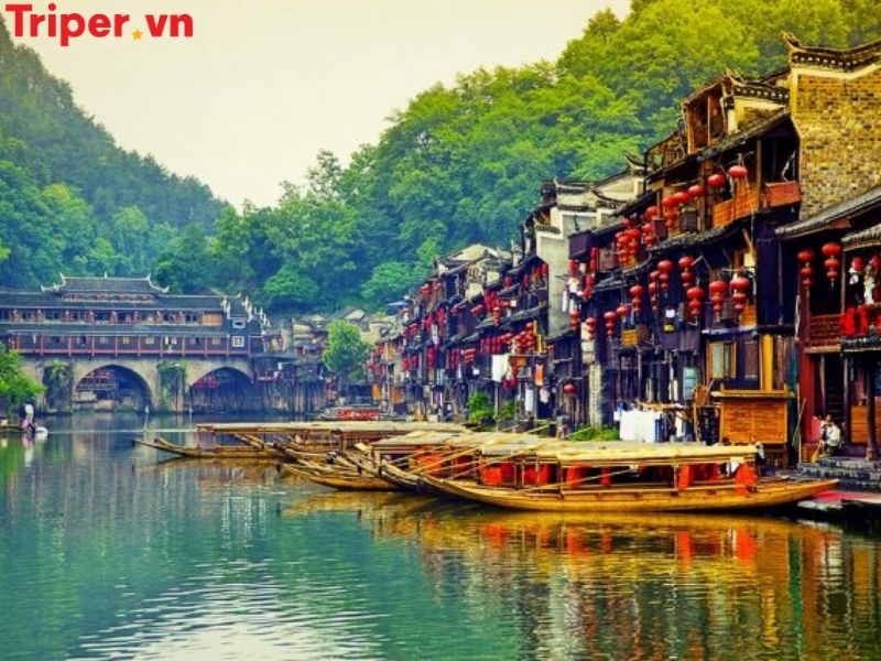 Thông tin các tour nổi bật tại công ty du lịch Phượng Hoàng