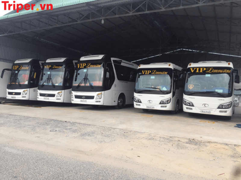 Thông tin các tour nổi bật tại công ty du lịch Phương Nam