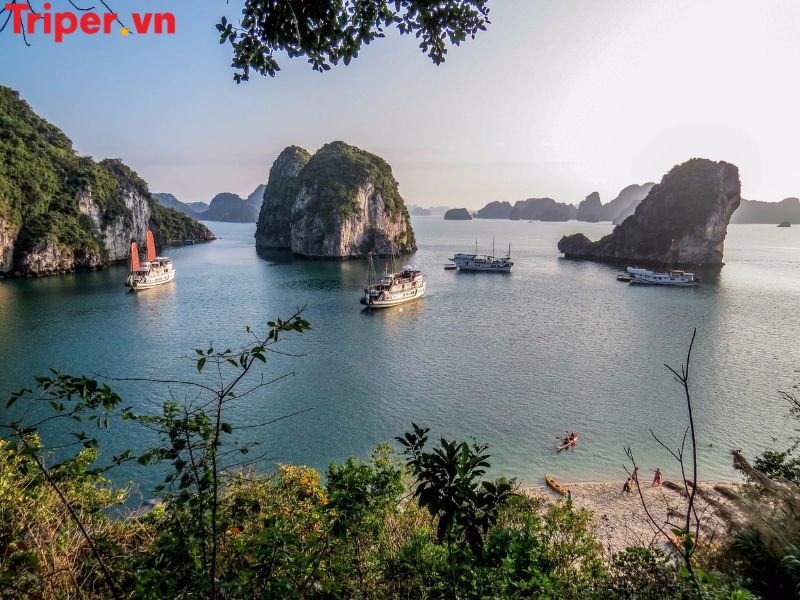 Thông Tin Các Tour Nổi Bật Tại Công Ty Expedia