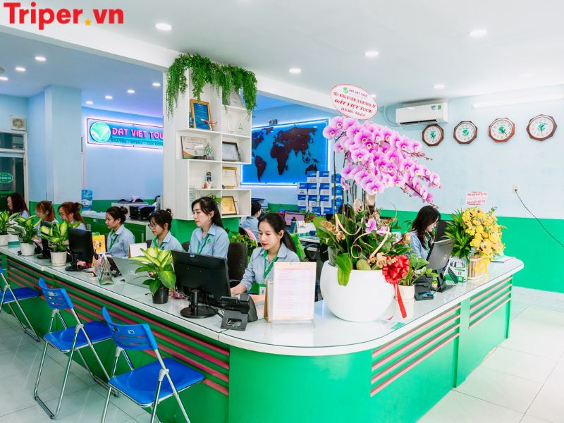 Top các công ty du lịch phường Bình Hưng Hòa uy tín và chất lượng