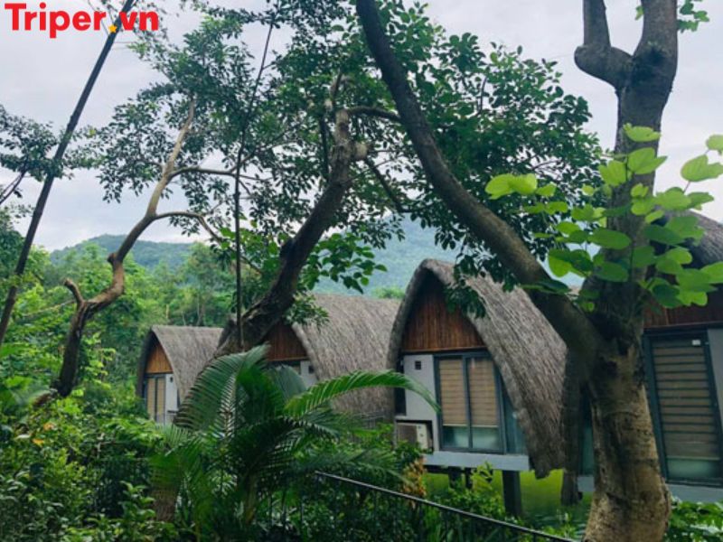 Ưu Điểm Vượt Trội Khi Lựa Chọn Công Ty Du Lịch Chân Trời Mới